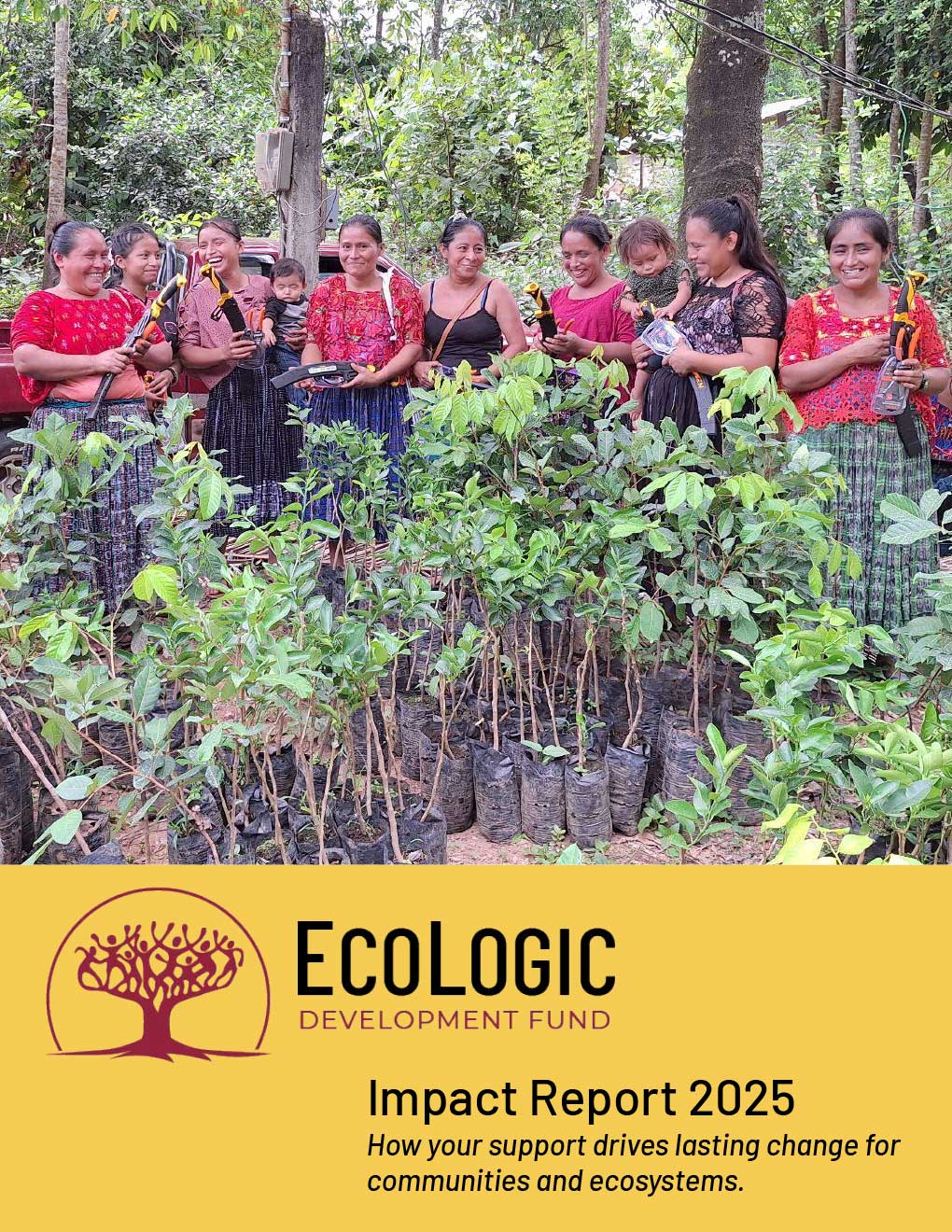 2025 EcoLogic Development Fund Year-End Report